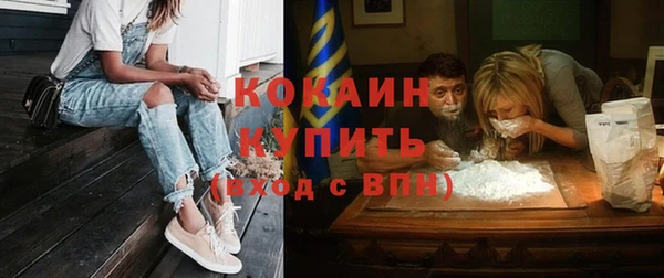 кокс Богородицк