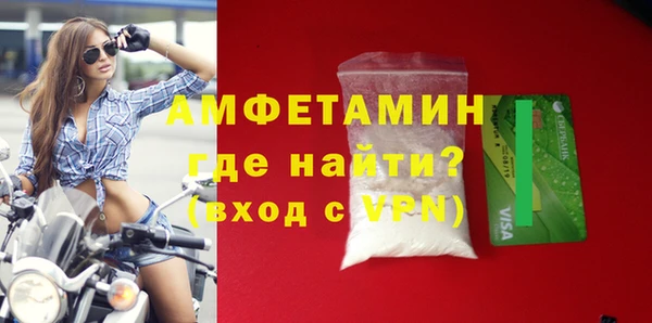 стаф Богданович
