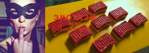 стаф Богданович