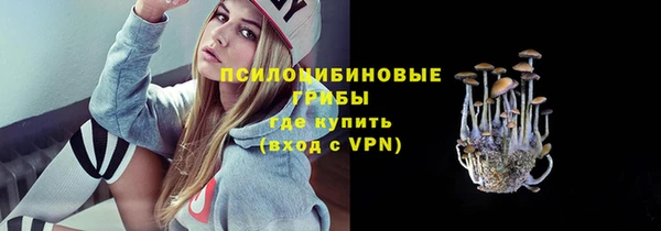 стаф Богданович