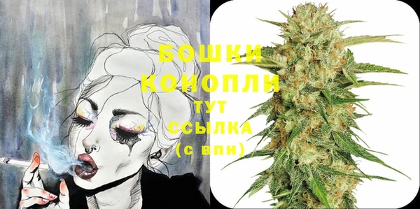 стаф Богданович
