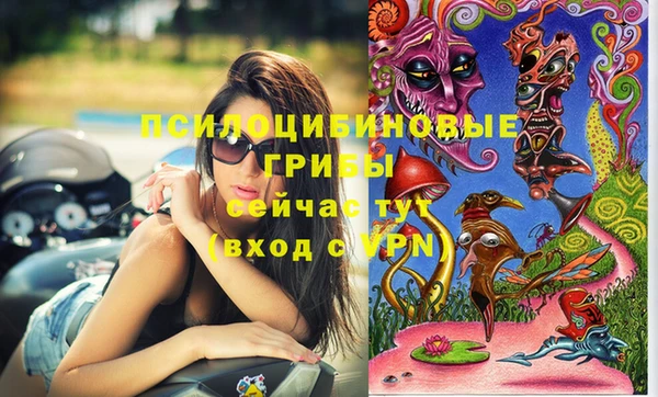 кокс Богородицк