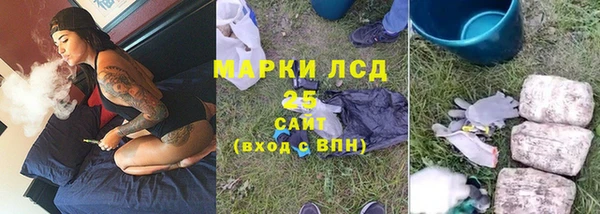 стаф Богданович