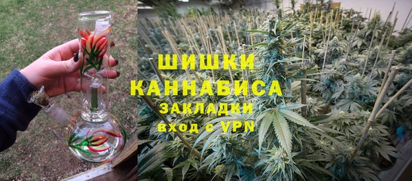 ПСИЛОЦИБИНОВЫЕ ГРИБЫ Богородск