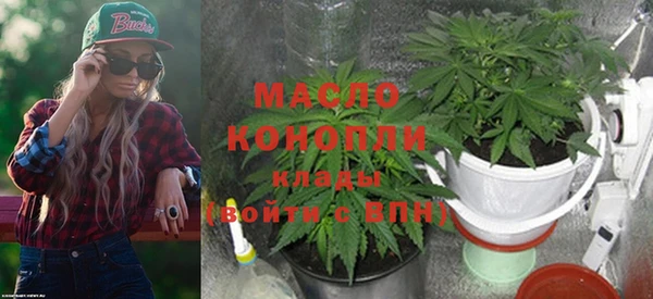 стаф Богданович