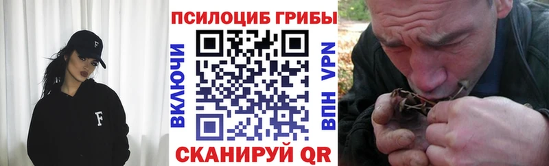 Псилоцибиновые грибы Psilocybe Купить где Михайловск